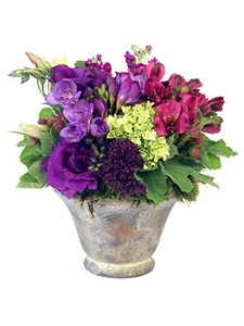 Rogers Gardens: Christmas Floral Arrangement